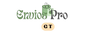 envios pro gt